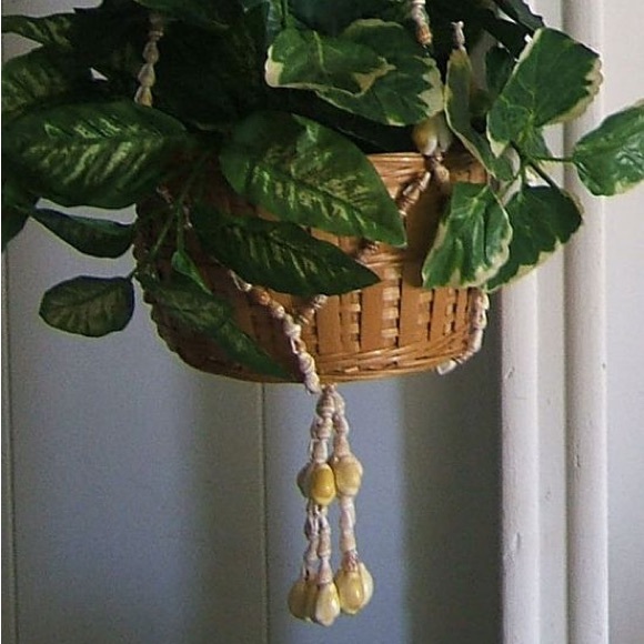 Puka shell macrame plant hanger - Picture 3 of 5
